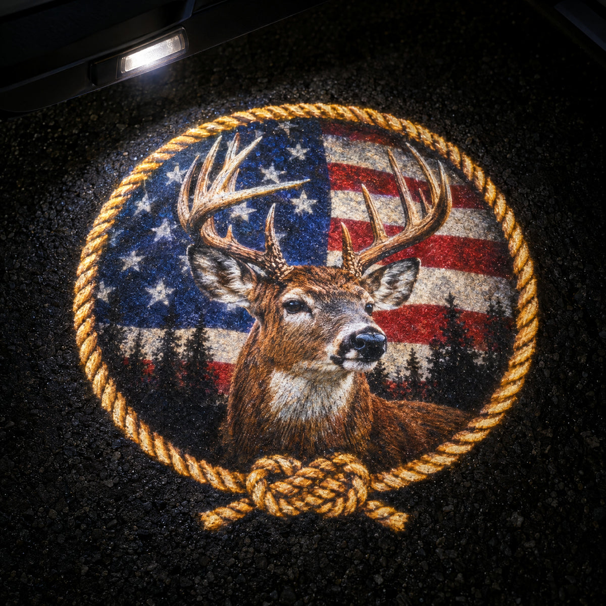 Country Shine Projector